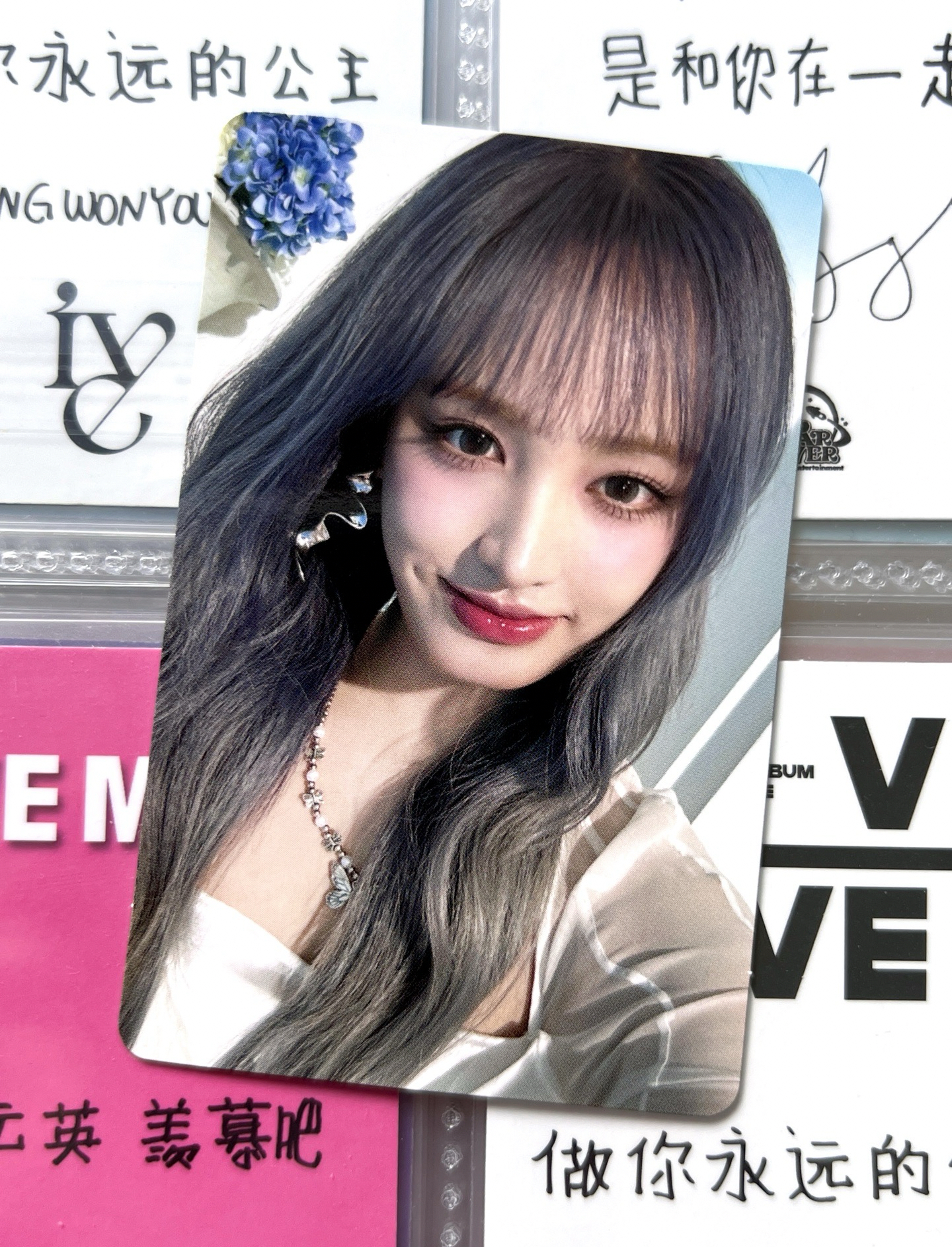 B盤栗 嘴巴有廠損