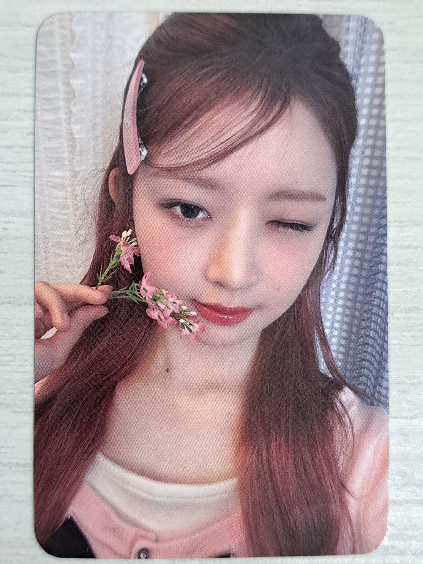 24 年曆 sw 特典卡 怜