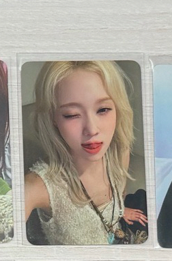 新加坡冬 mr寧 隨機卡冬