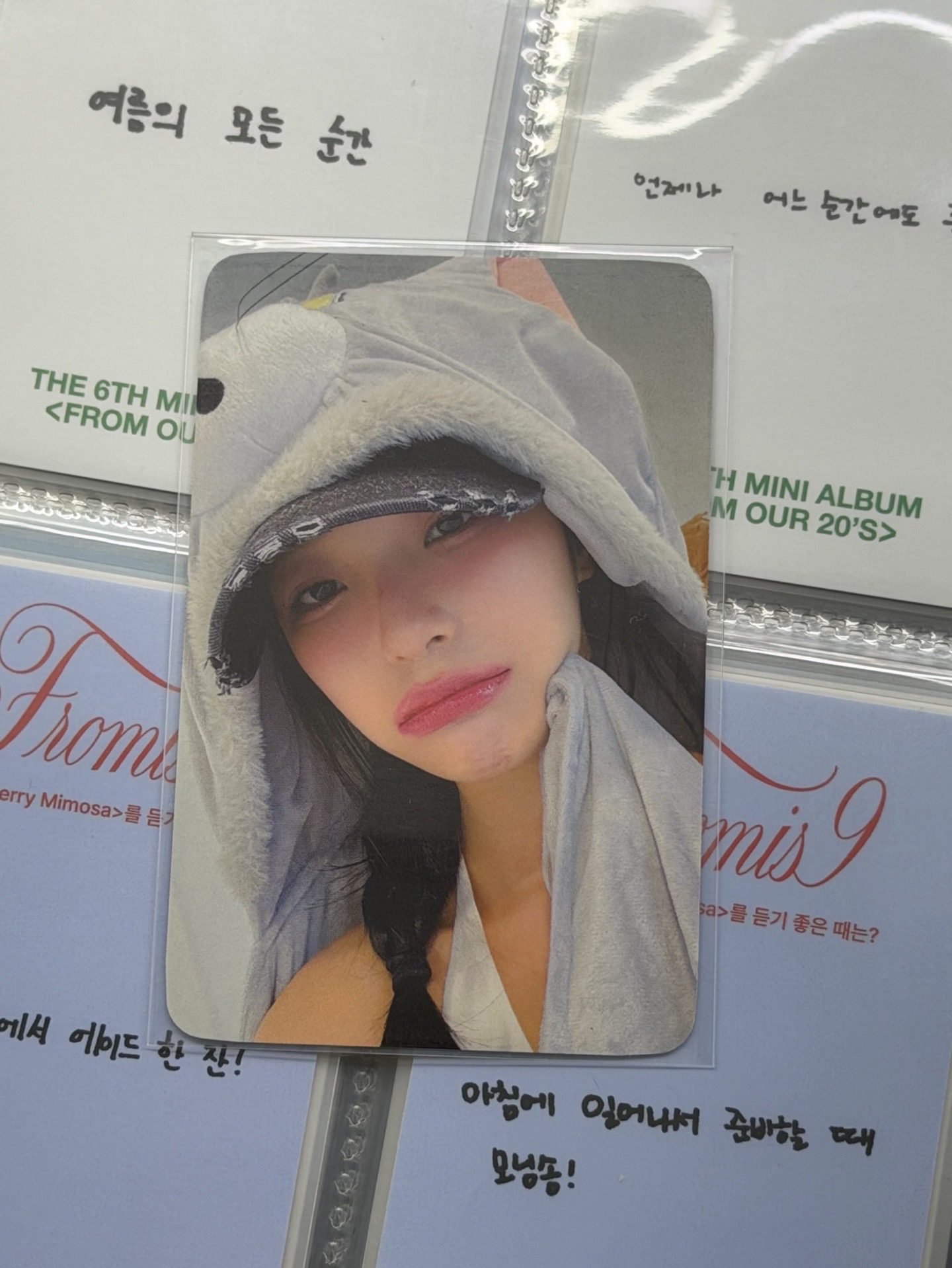 fromis_9 迷你六輯特典 湯姆貓