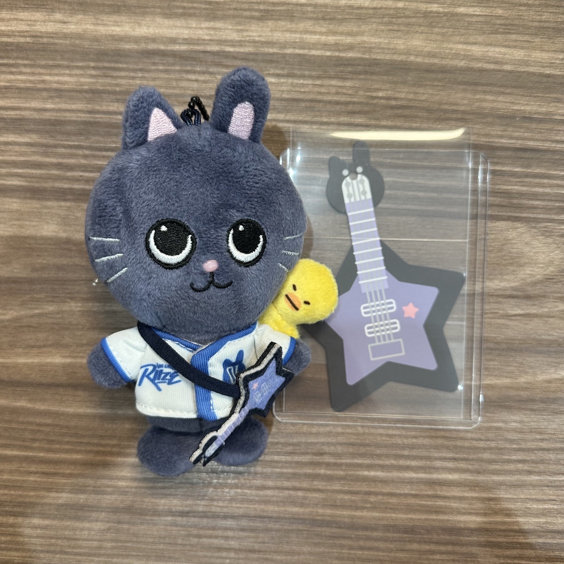 RIIZE Park 聖水快閃 10cm磁吸娃 兔鴨