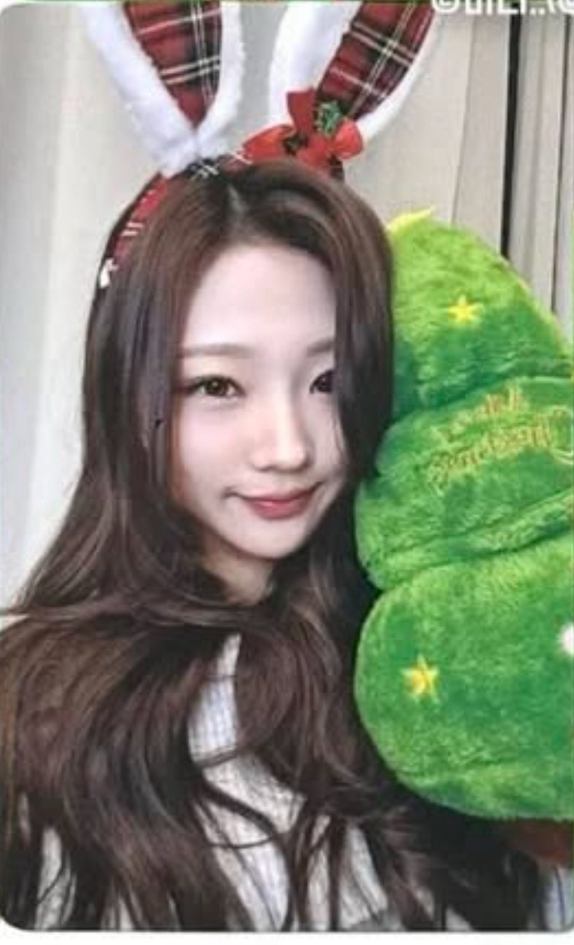 stella jp聖誕樹幸運卡