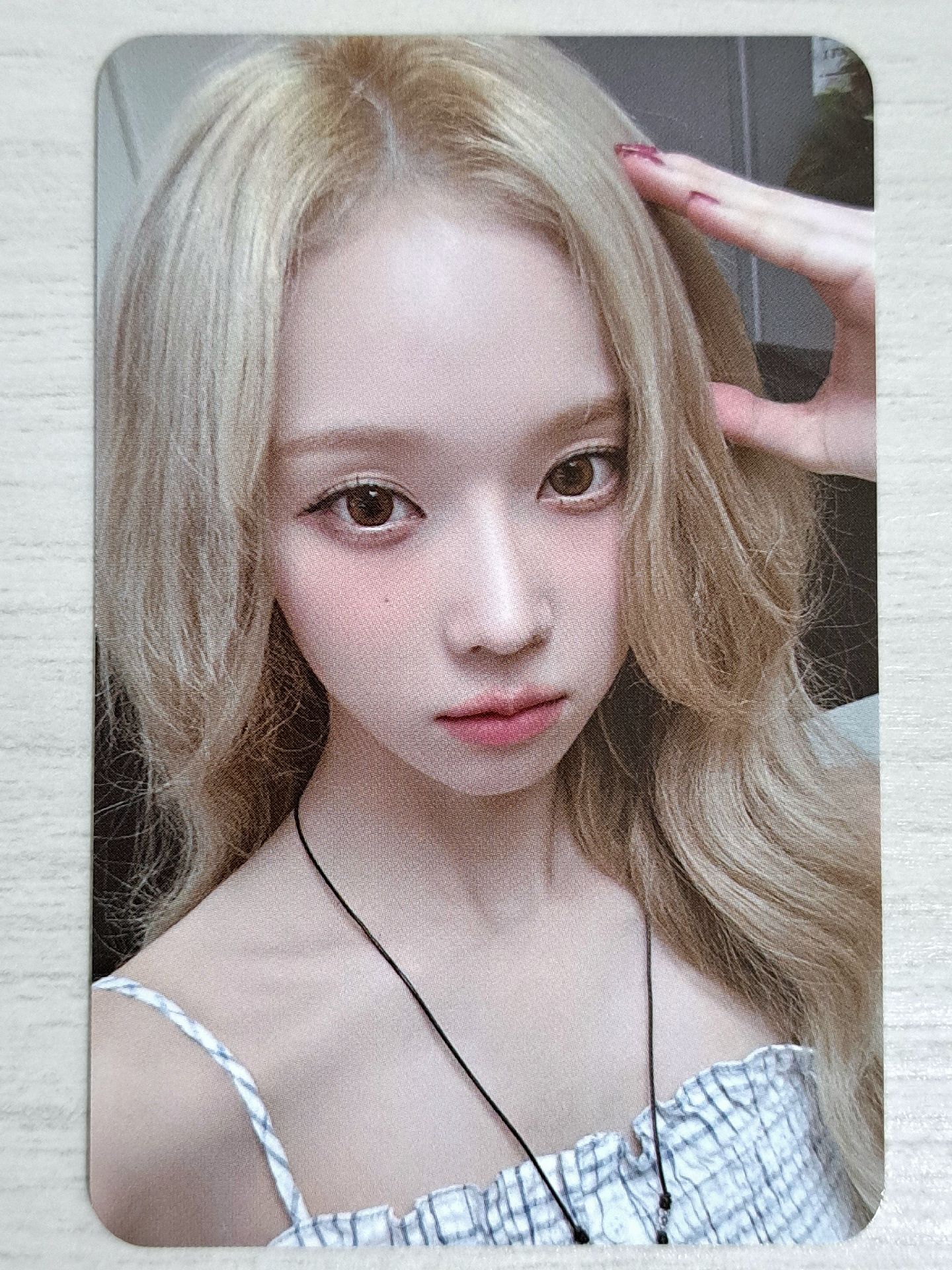 Whiplash el 幸運卡 狗耳冬