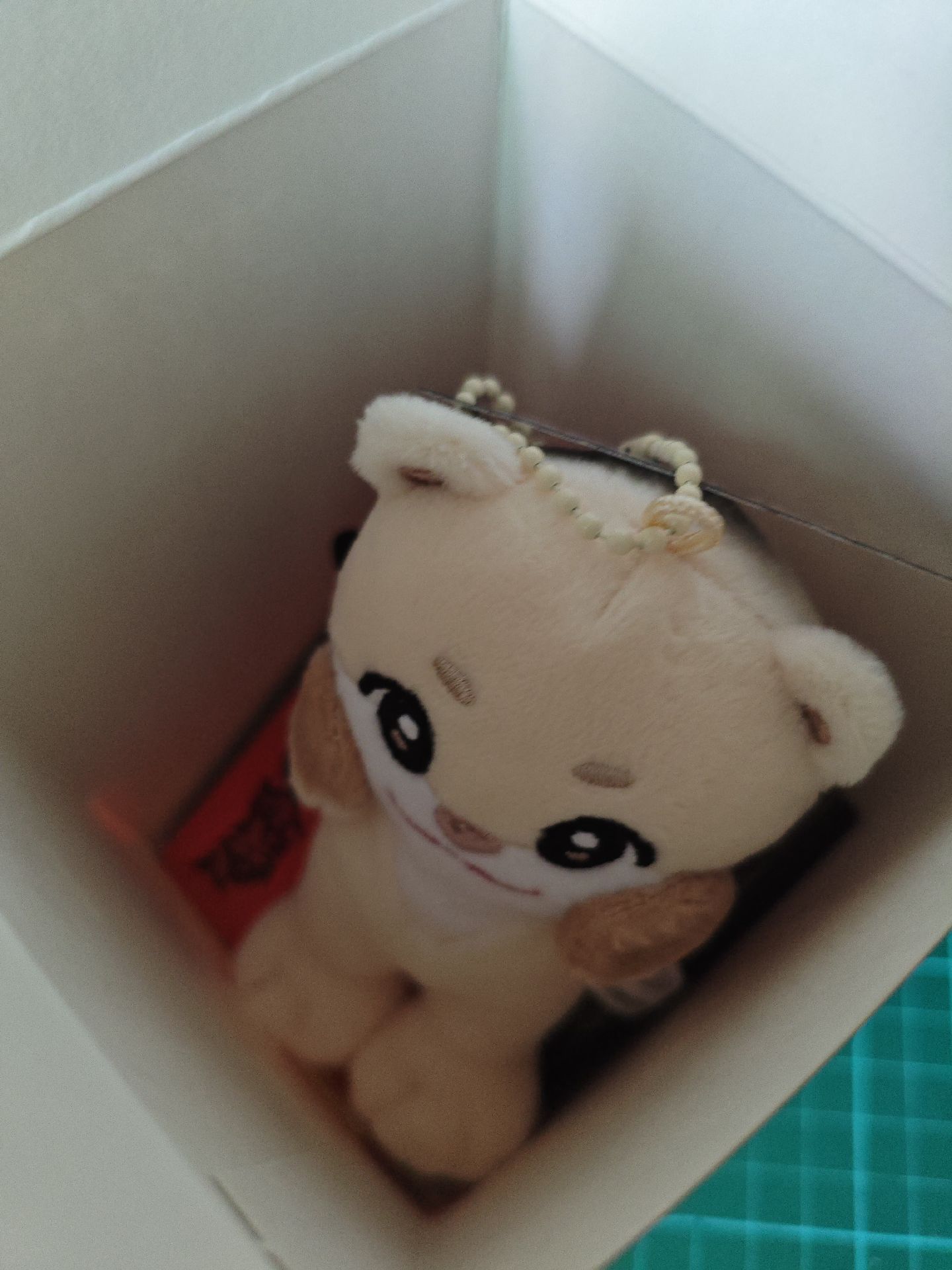 Yutie Harubear 娃專