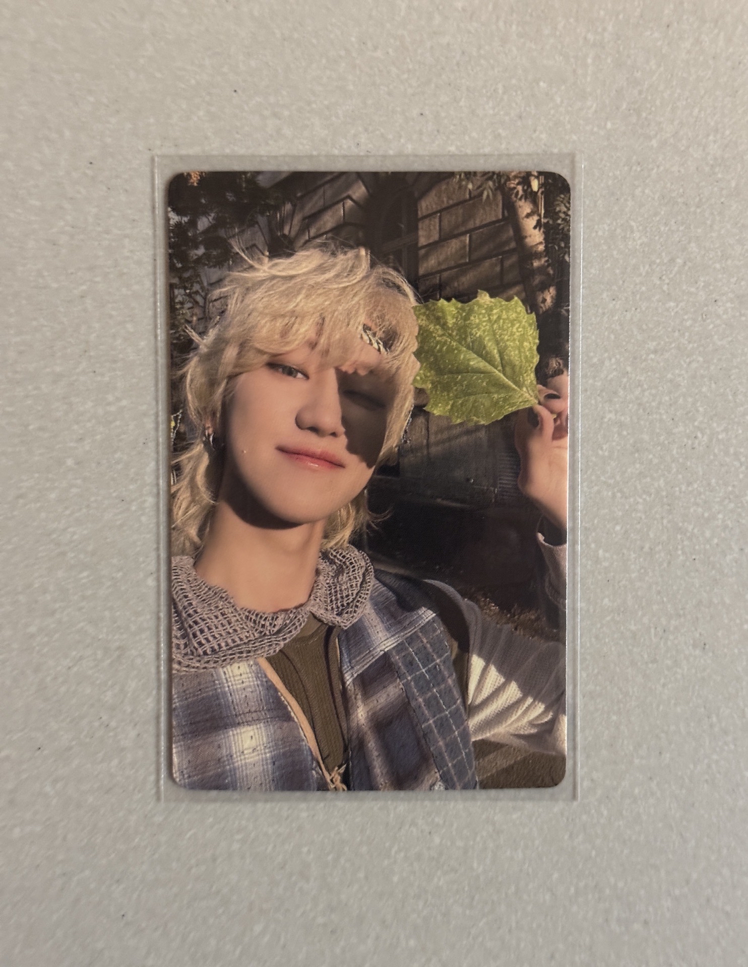 金髮八 蝦皮特典