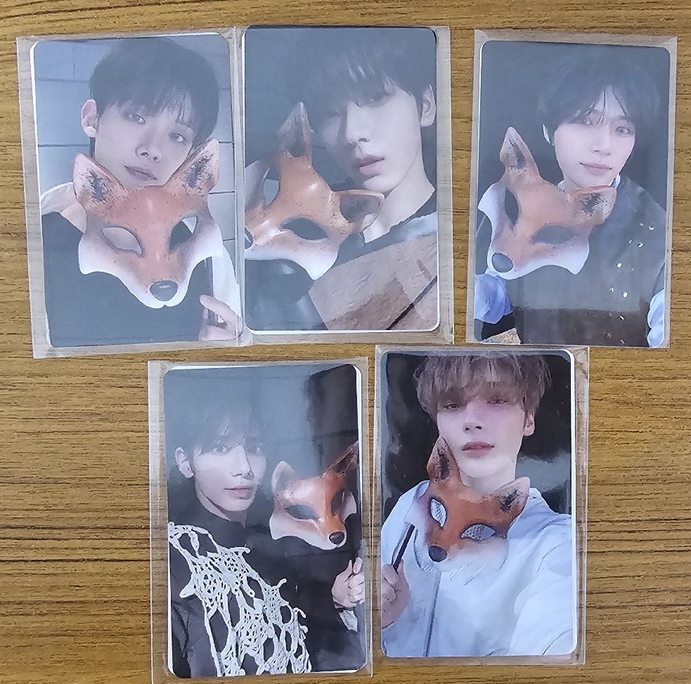 迷六SC特典 狐狸系列✨️