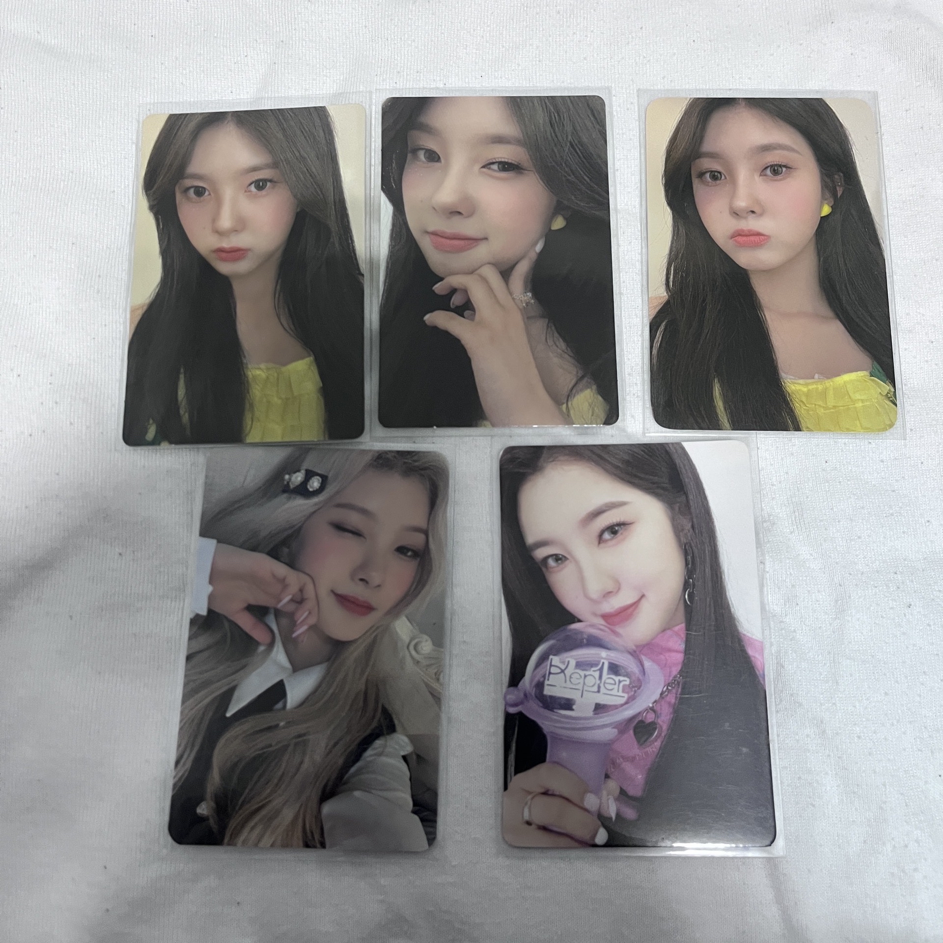 kep1er 金多娟小盤