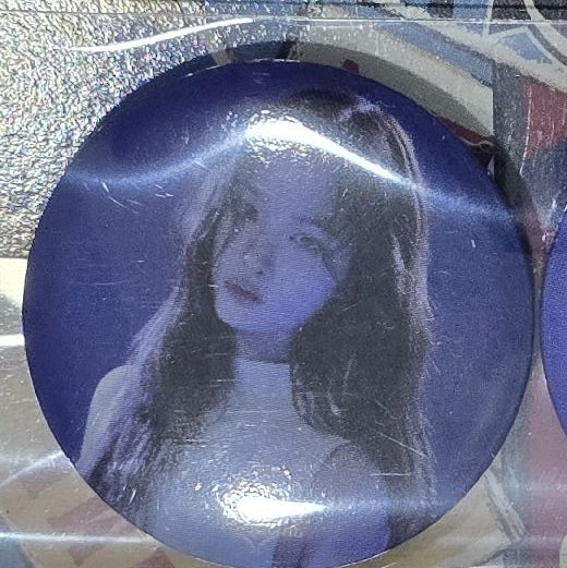 星河預售 鈕扣徽章 薛的