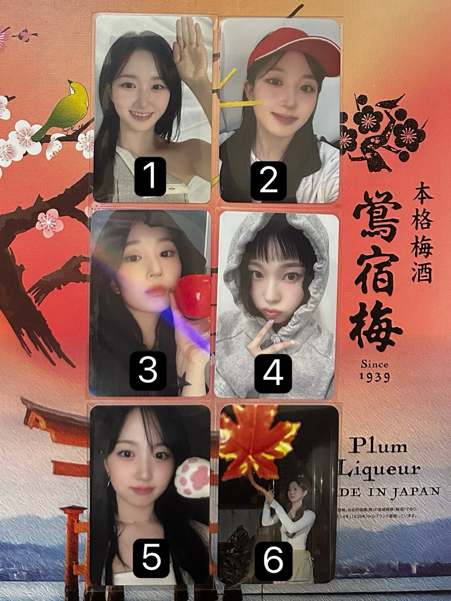 NMIXX STICK OUT區（有4頁