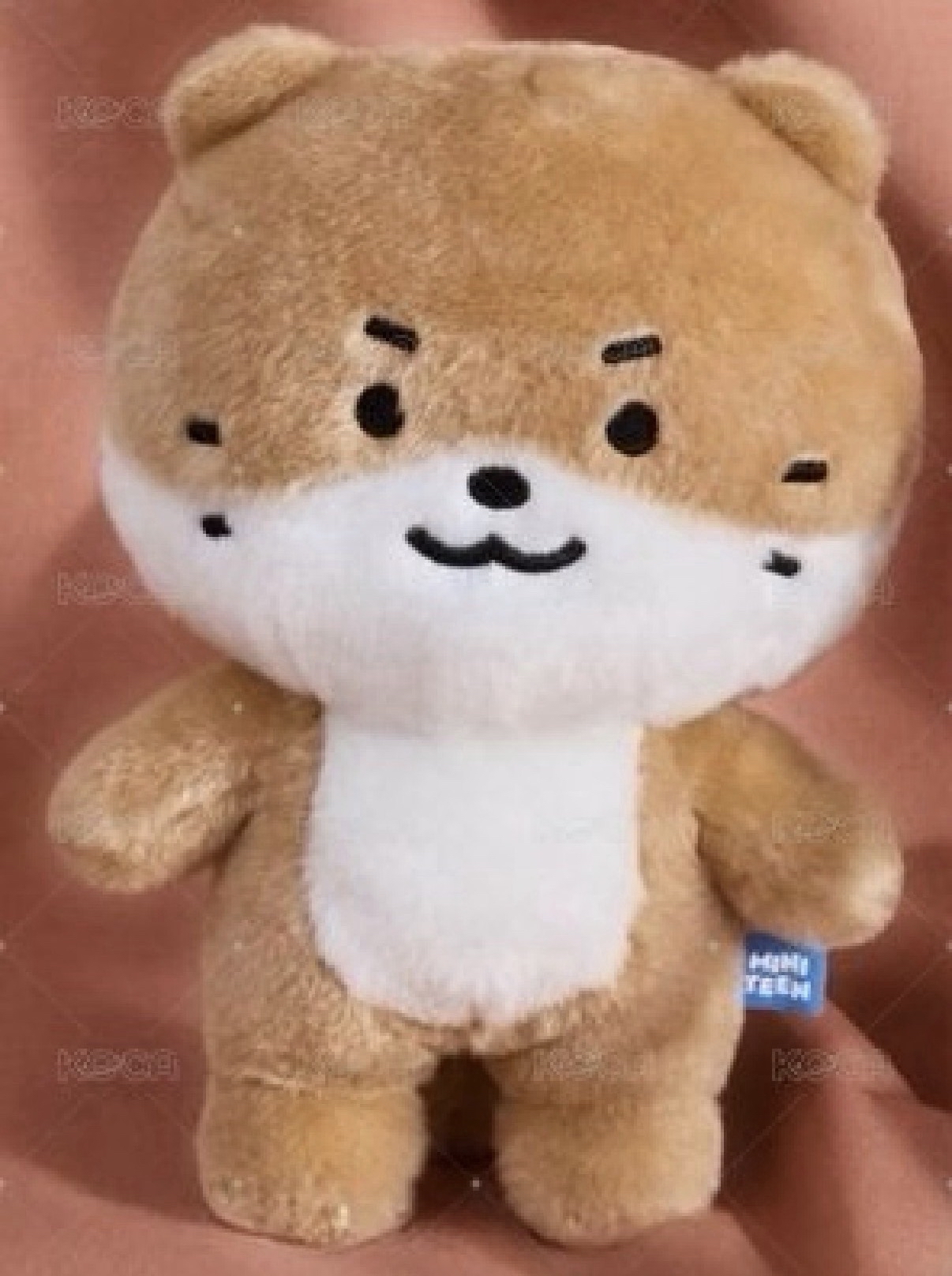 燦站娃 不需綁物