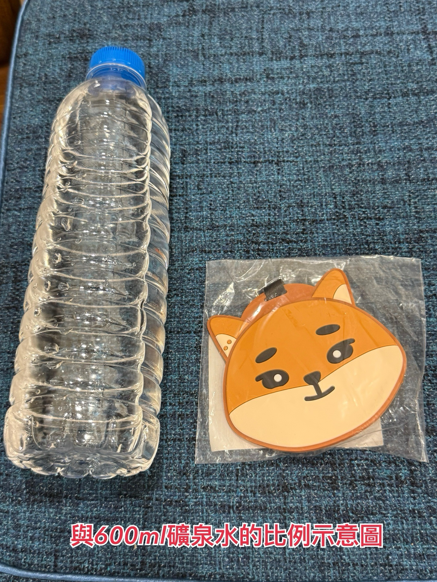 DAY6 DENIMALZ 行李吊牌 FOREVER YOUNG 日週 