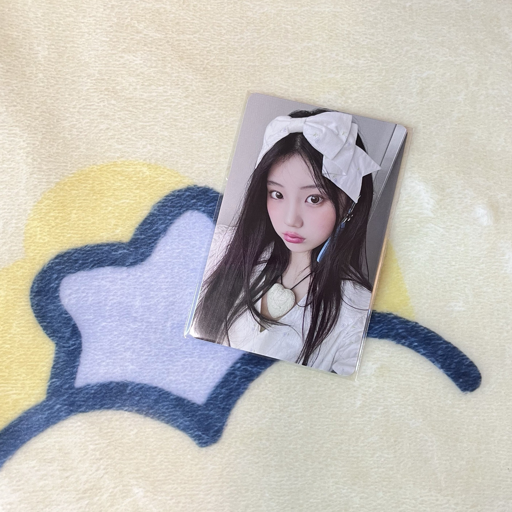 NOT CUTE 日咖預售 禧