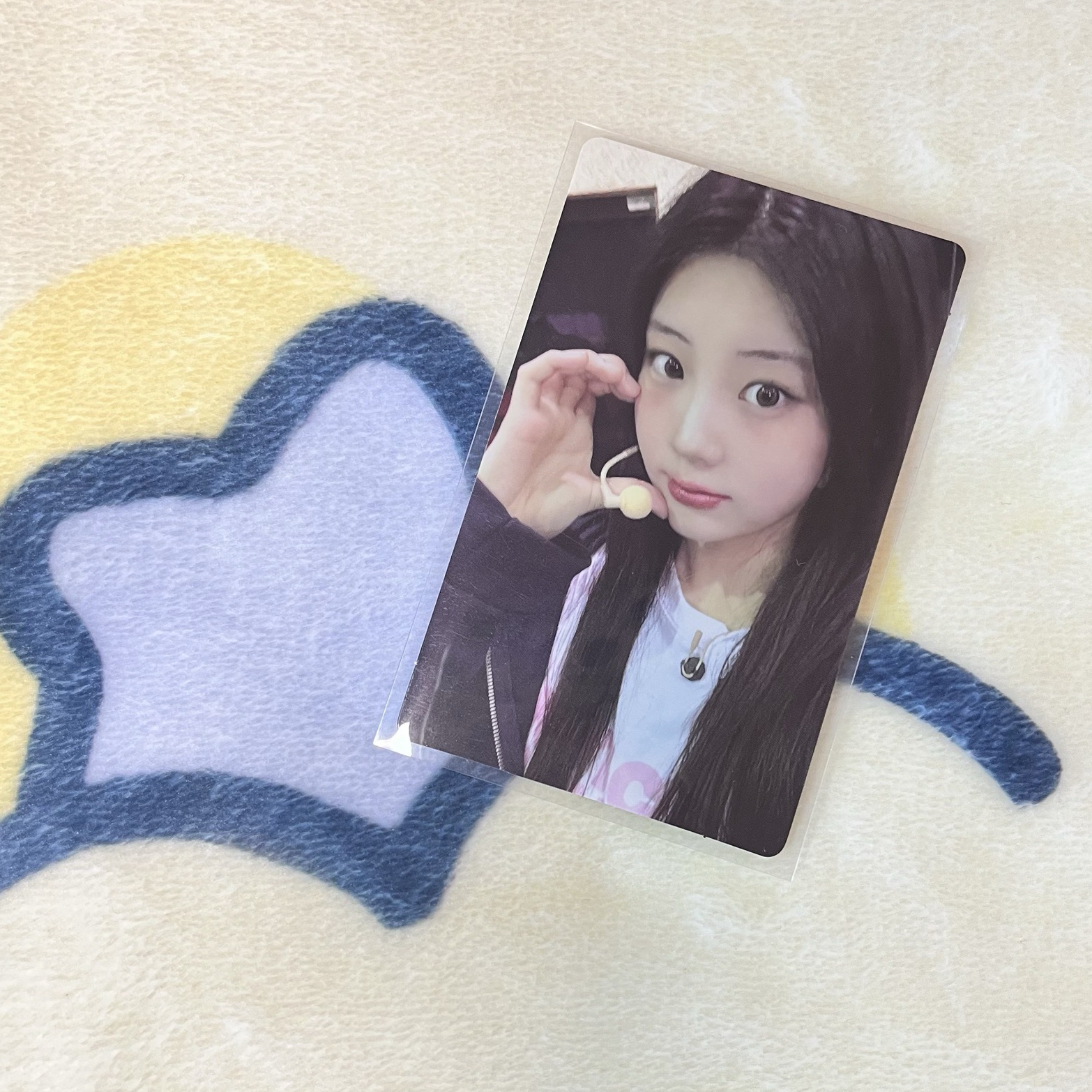 NOT CUTE Dingo直播卡 禧