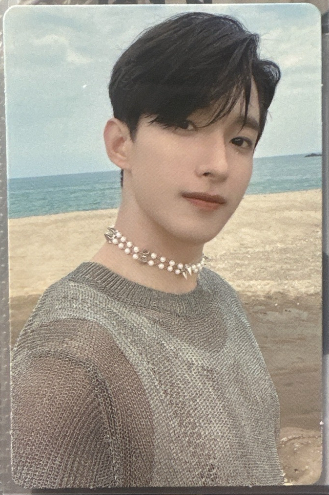 SEVENTEEN DK 李碩珉 MINI 9