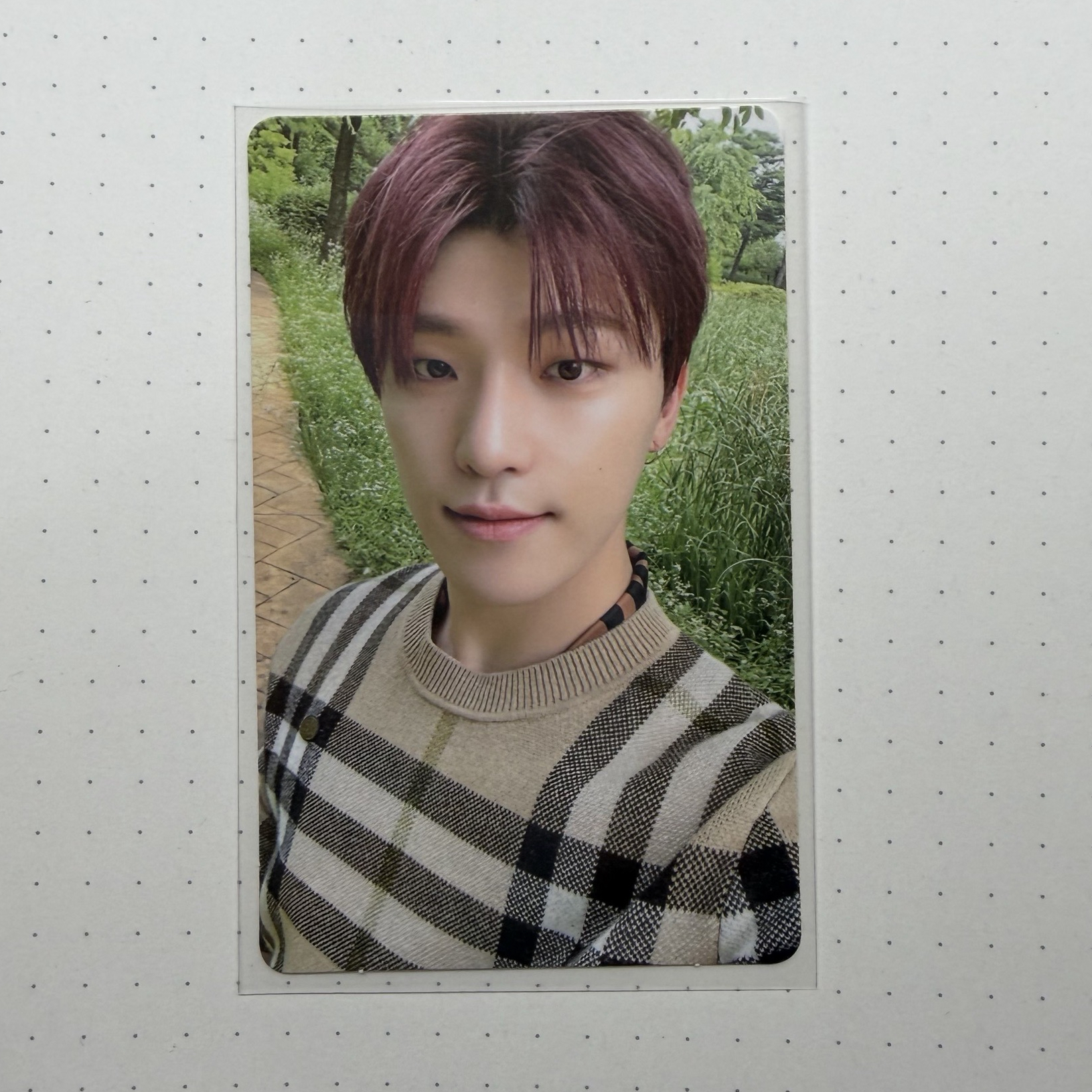 Social Club公子哥 紅髮燦燦