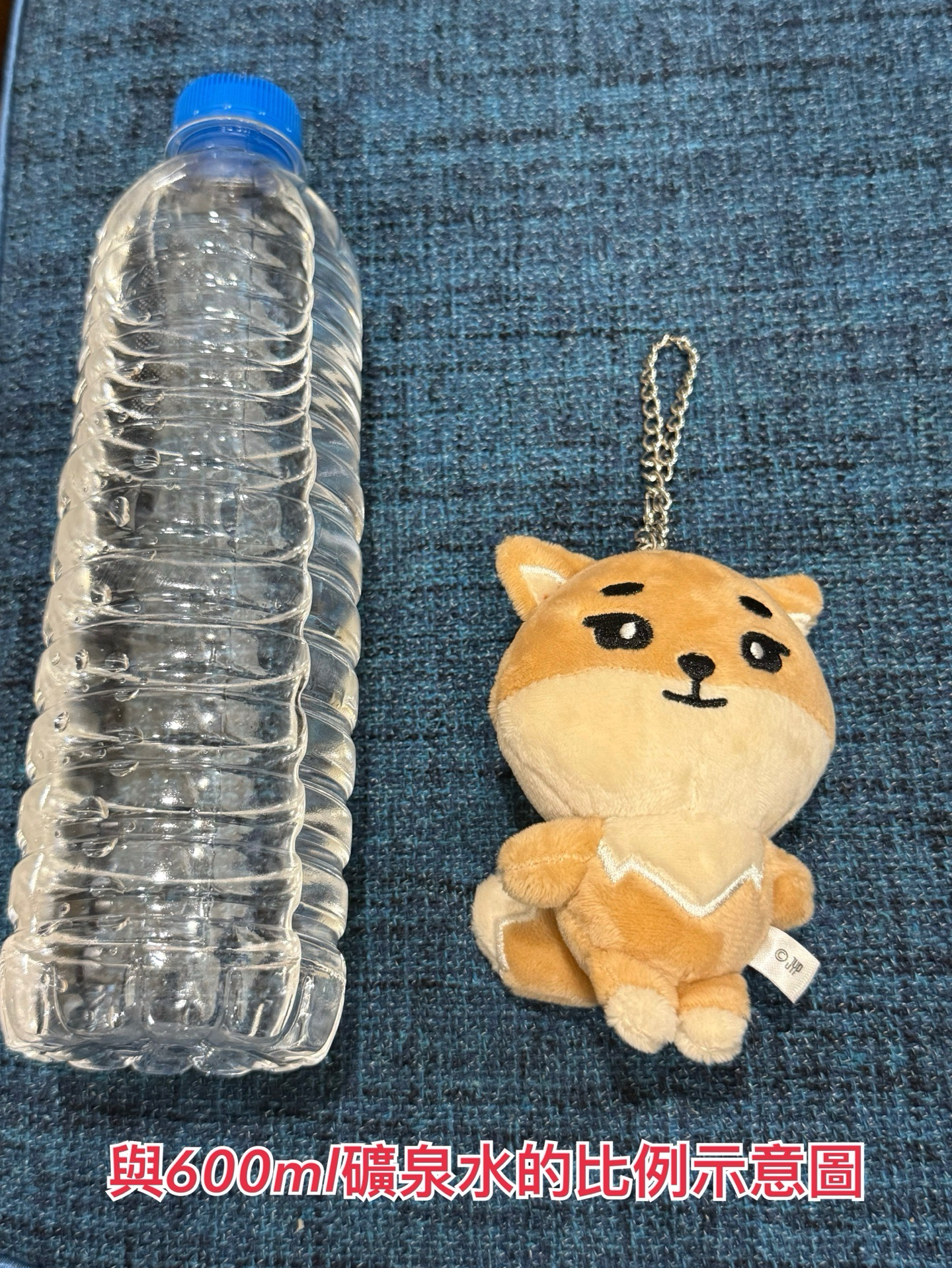 DAY6 DENIMALZ 11cm 鏈條娃 FOREVER YOUNG 日週