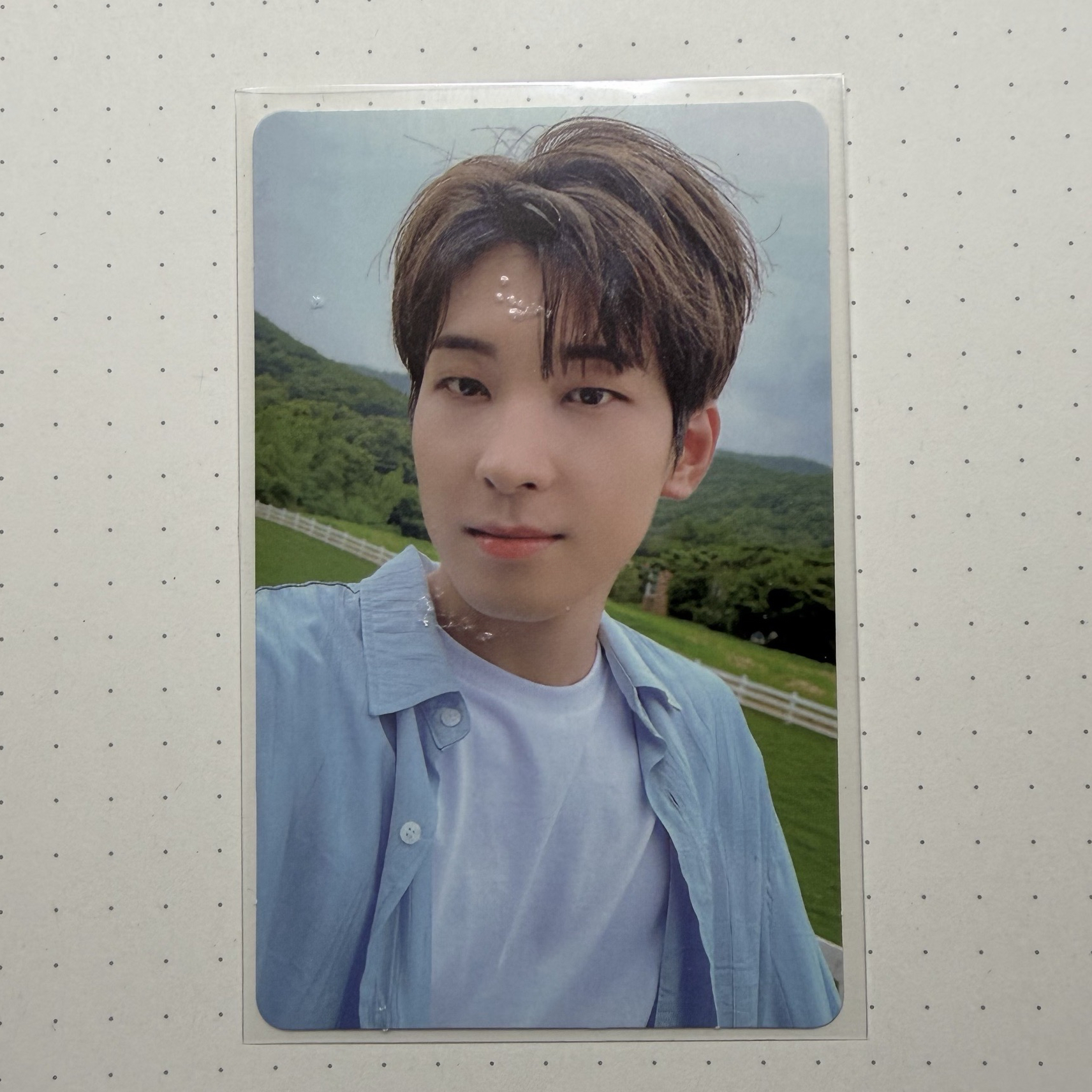 下單贈物 大損的圓 