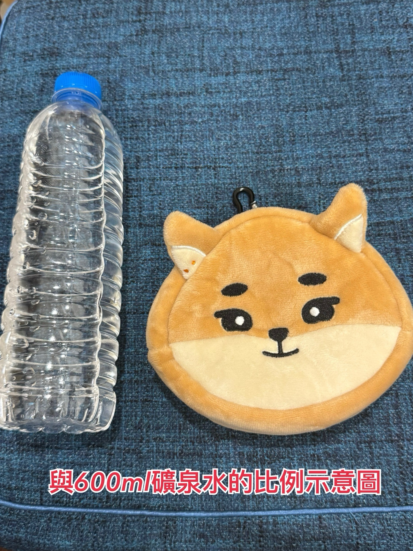 DAY6 DENIMALZ 大臉娃包 FOREVER YOUNG 日週