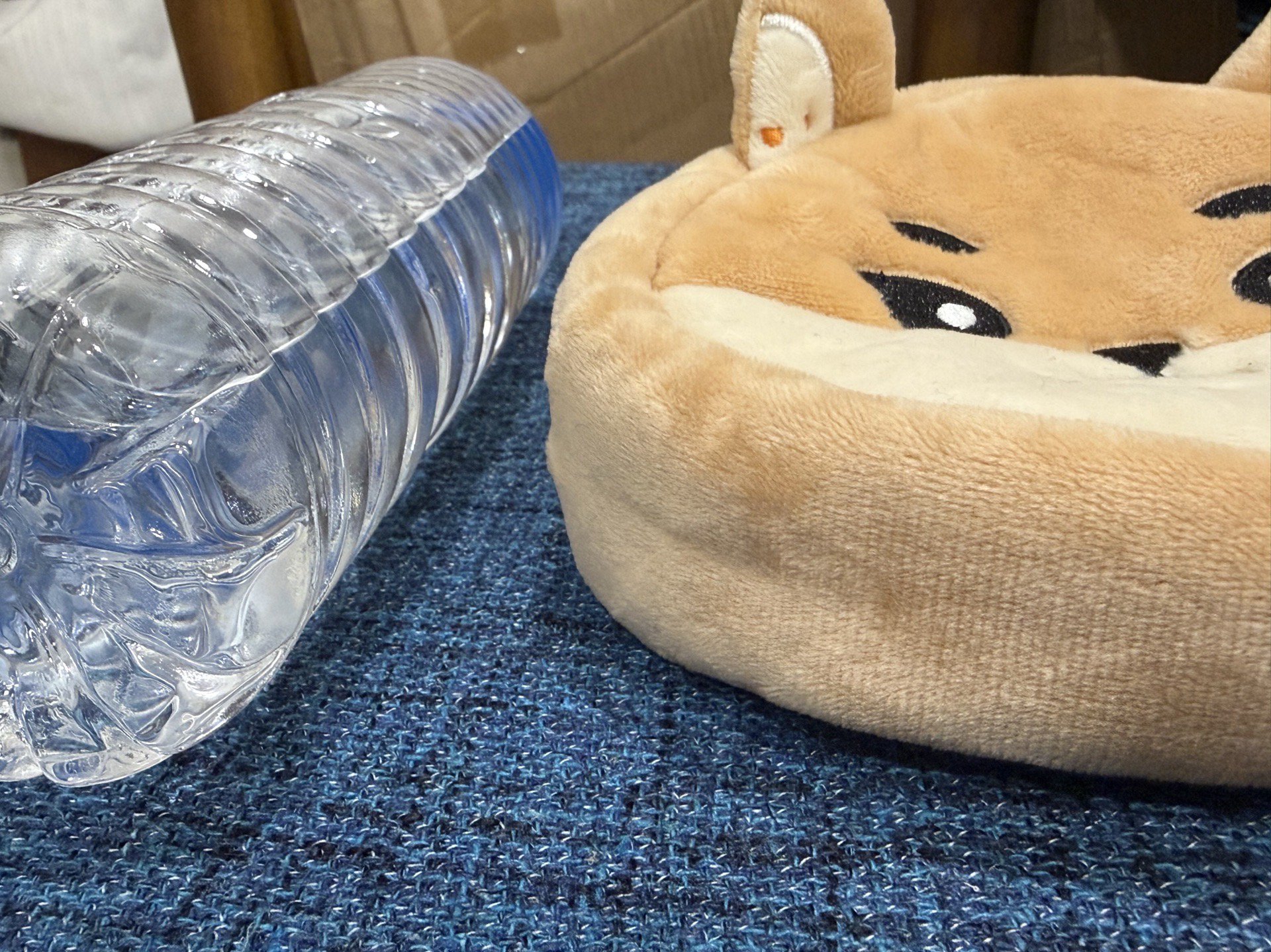 DAY6 DENIMALZ 大臉娃包 FOREVER YOUNG 日週