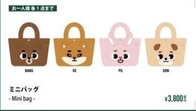 DAY6 DENIMALZ 毛絨 手提包 FOREVER YOUNG 日週