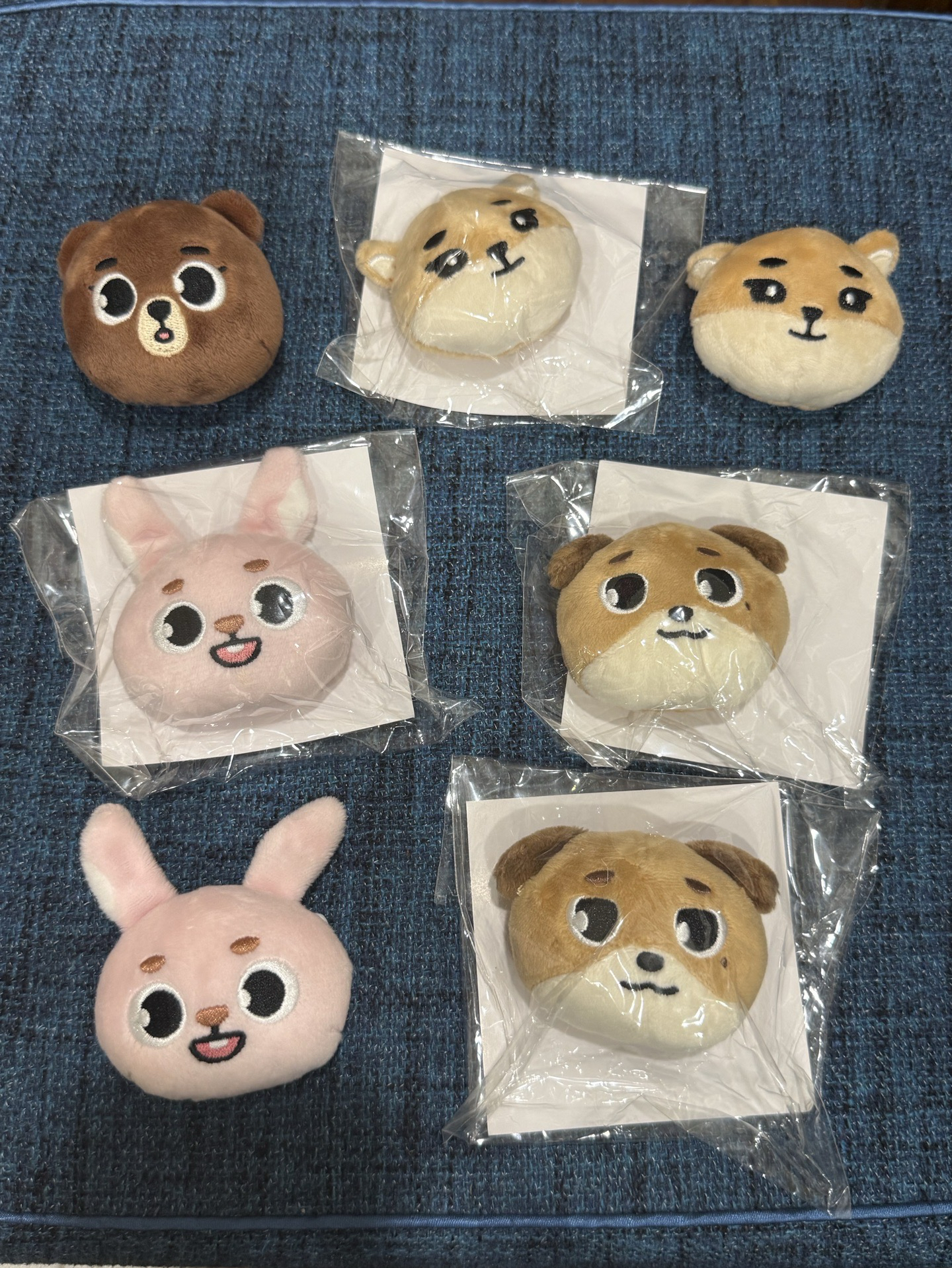 DAY6 DENIMALZ 大頭 別針 FOREVER YOUNG 日週 