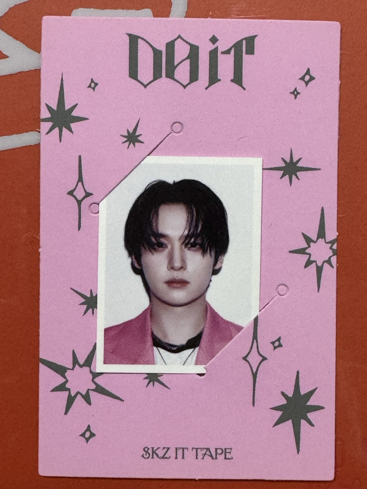 Stray Kids do it 證件照 Leeknow