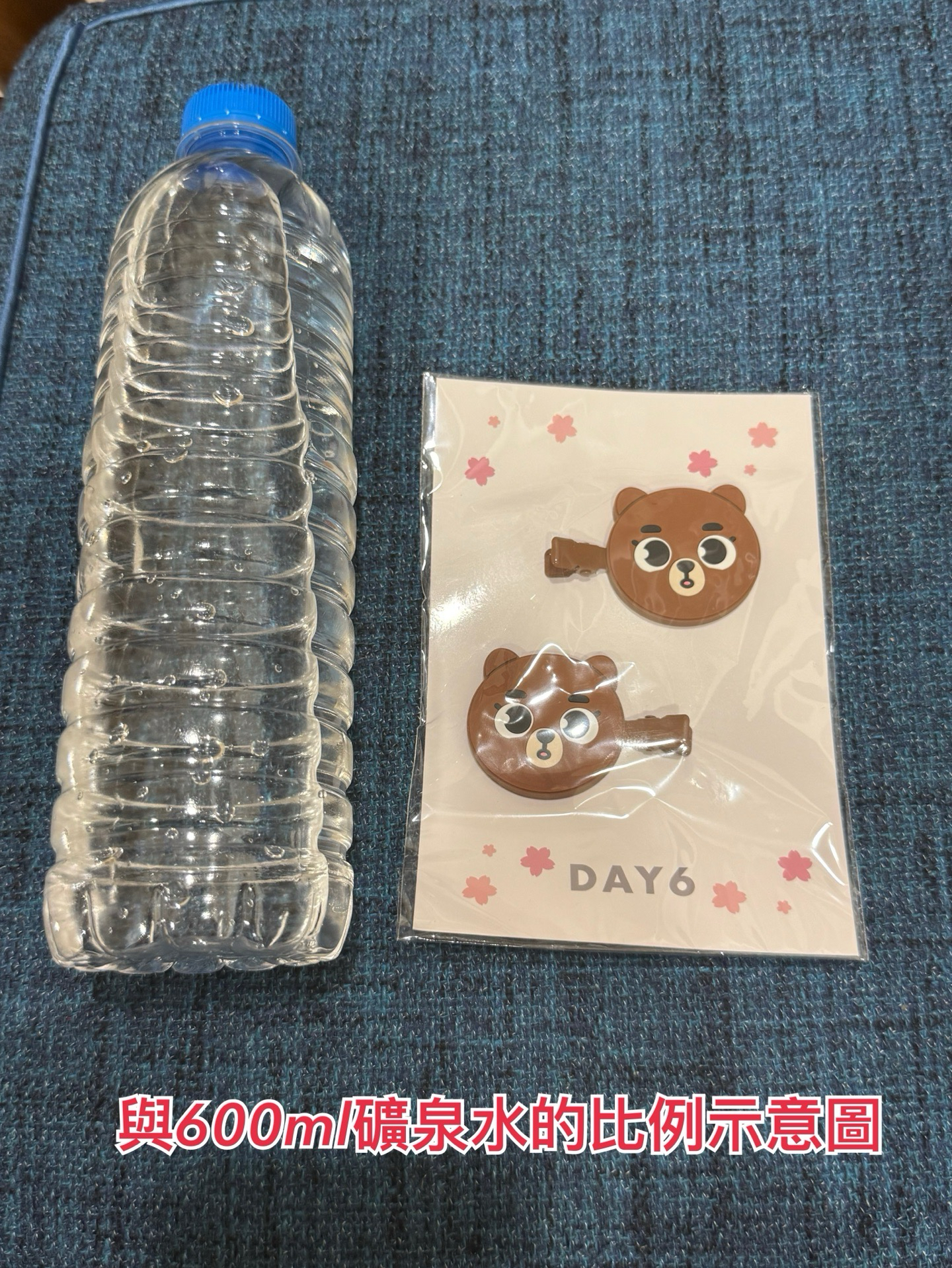 DAY6 DENIMALZ 髮夾 FOREVER YOUNG 日週 