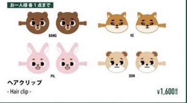 DAY6 DENIMALZ 髮夾 FOREVER YOUNG 日週 