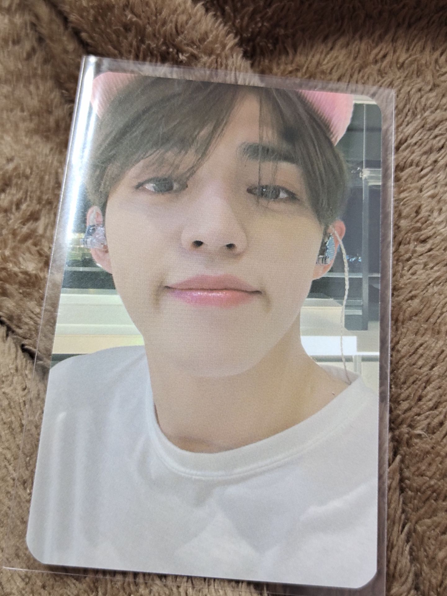 sector 17 scoups 特典 