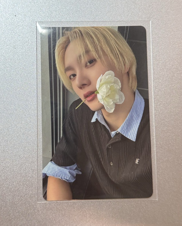 🚪咬花🐱現貨