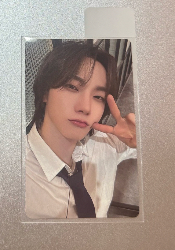 🚪wvs西裝🐱現貨