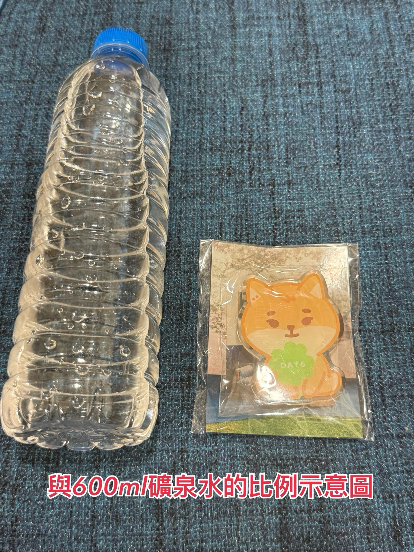 DAY6 DENIMALZ 手機支架 FOREVER YOUNG 日週 