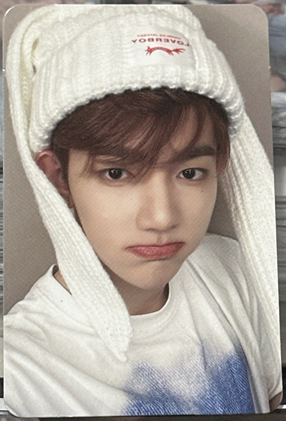 章昊 迷三 特典卡 兔帽