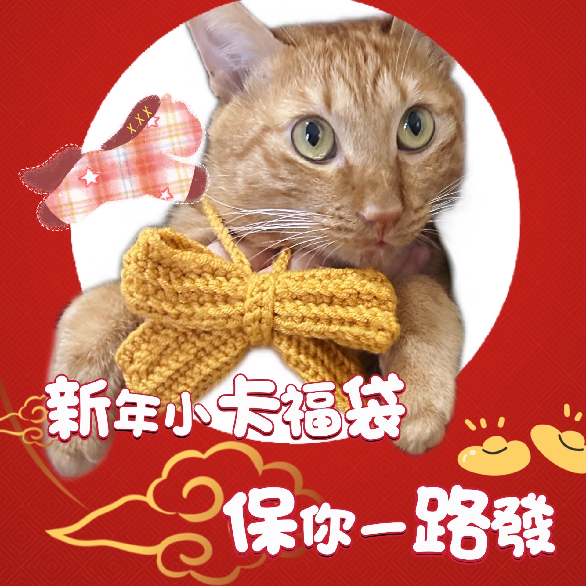 🧨特典小卡福袋～男/女團可自選🧧