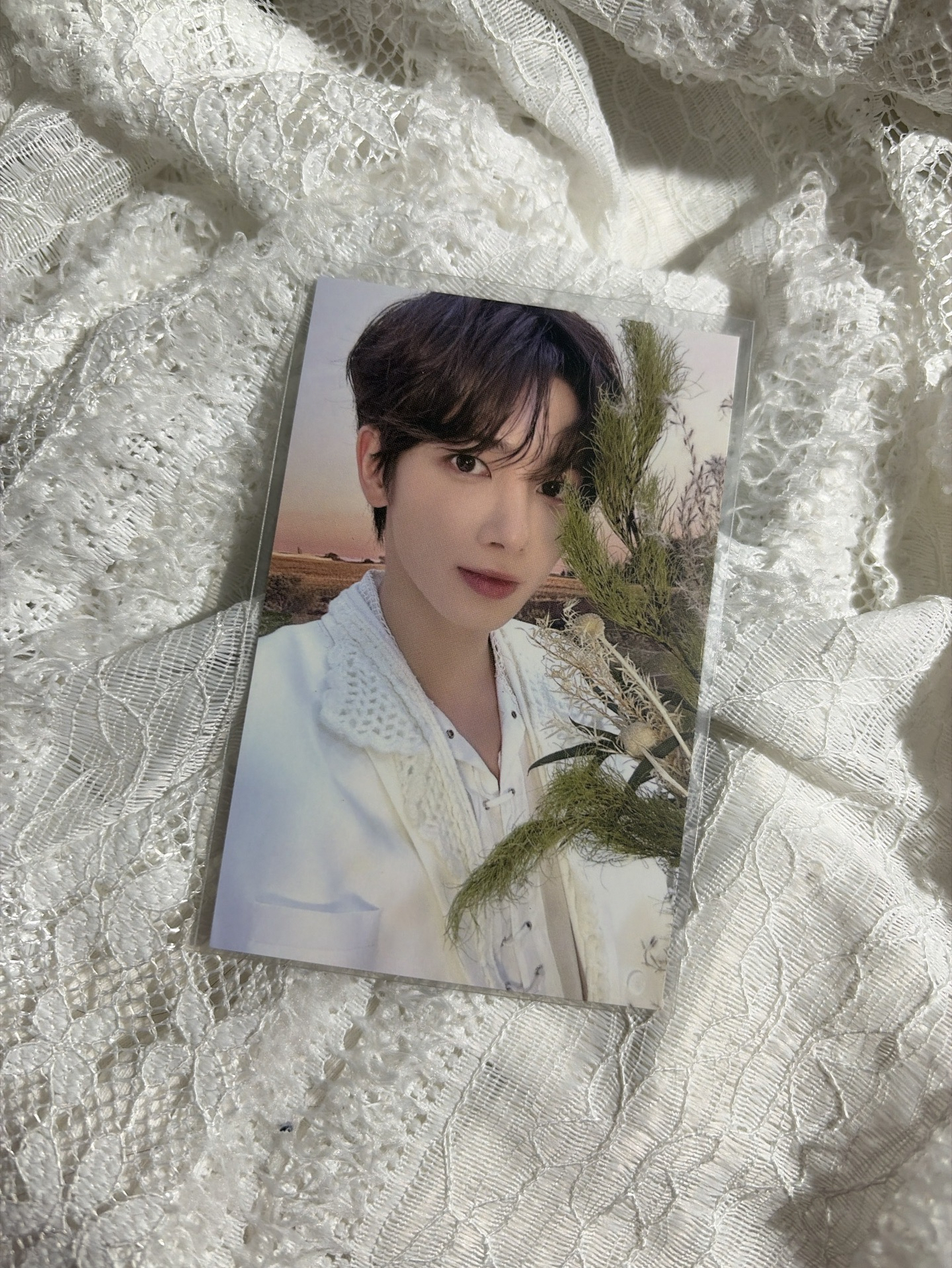 <ACT:PROMISE>24年台北場 太顯粽卡