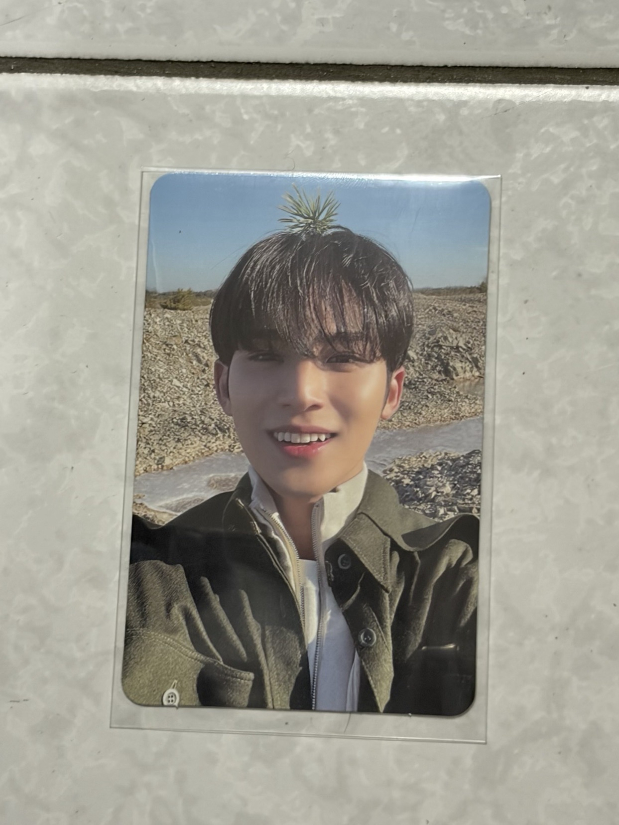 奎 正規四專卡（直出）