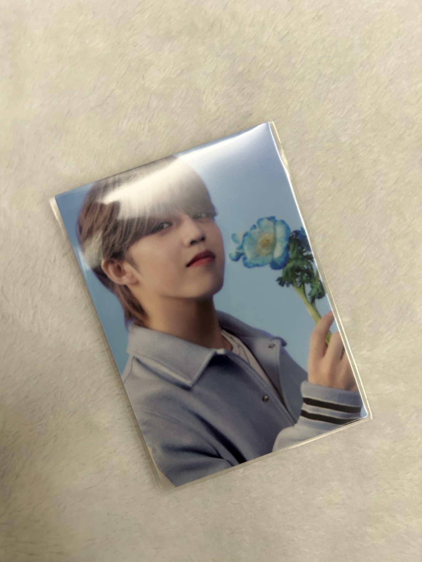 SEVENTEEN 勝哲 日卡 日本隨機卡