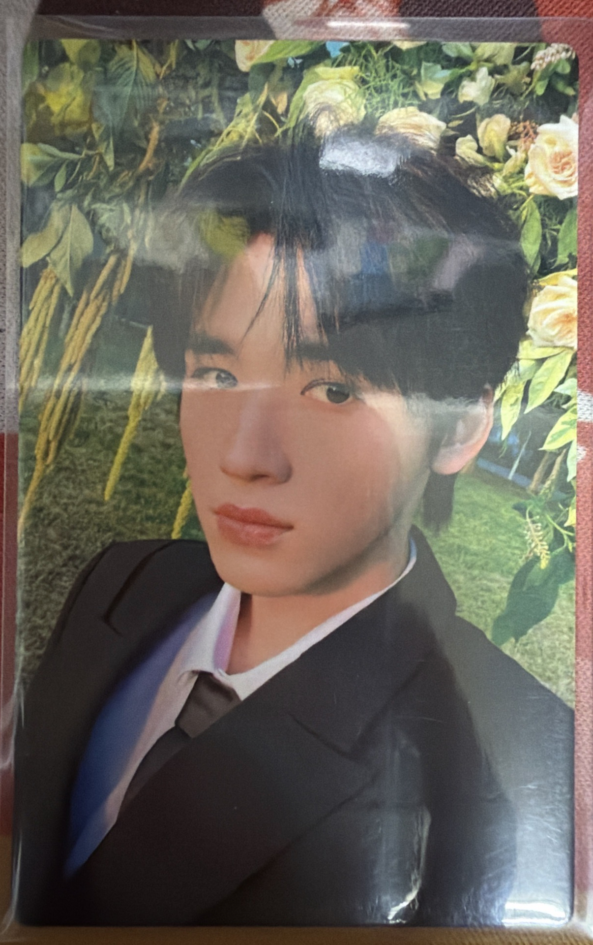 宋亞軒五週年團單