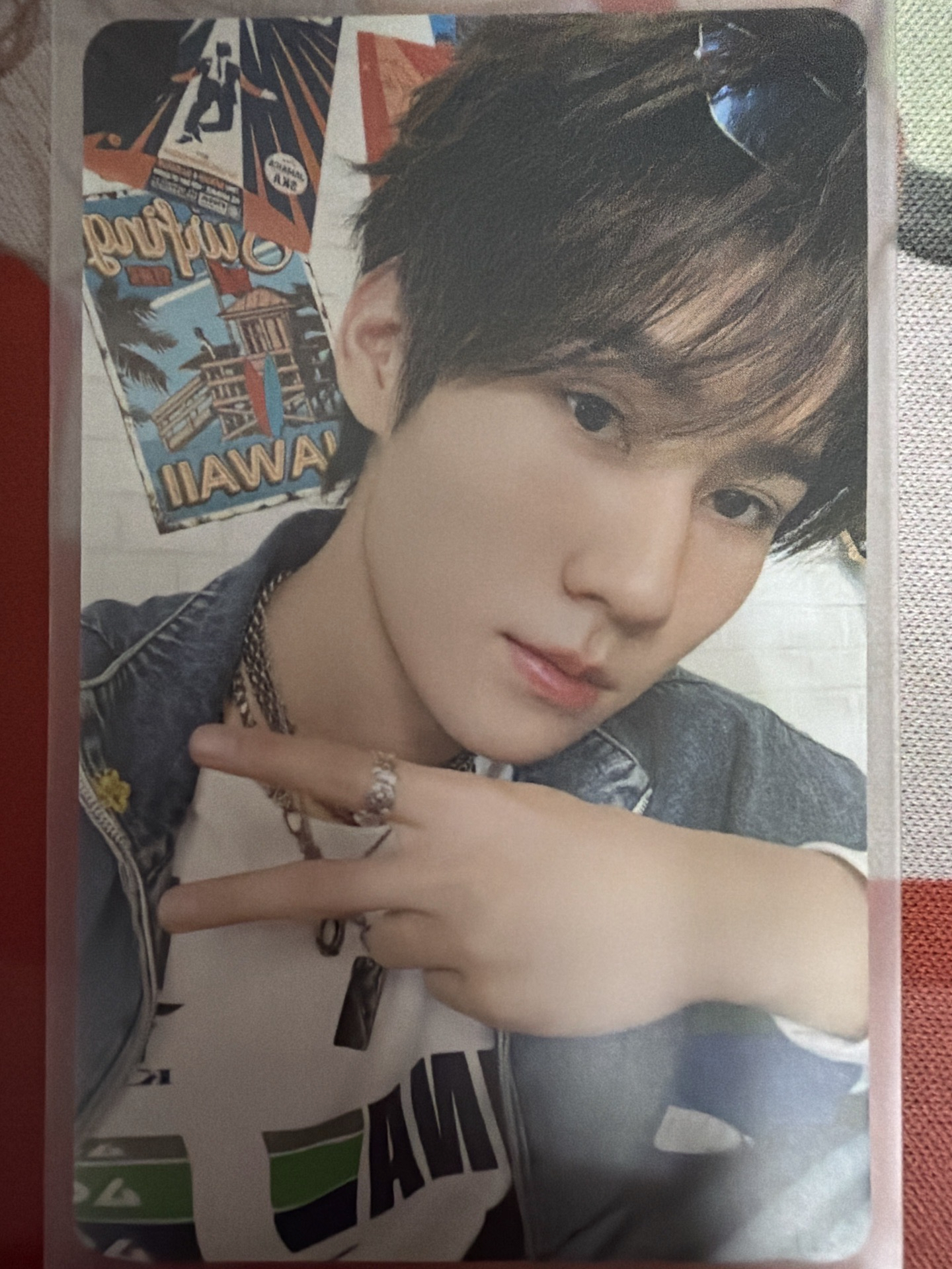 張真源夏日團固