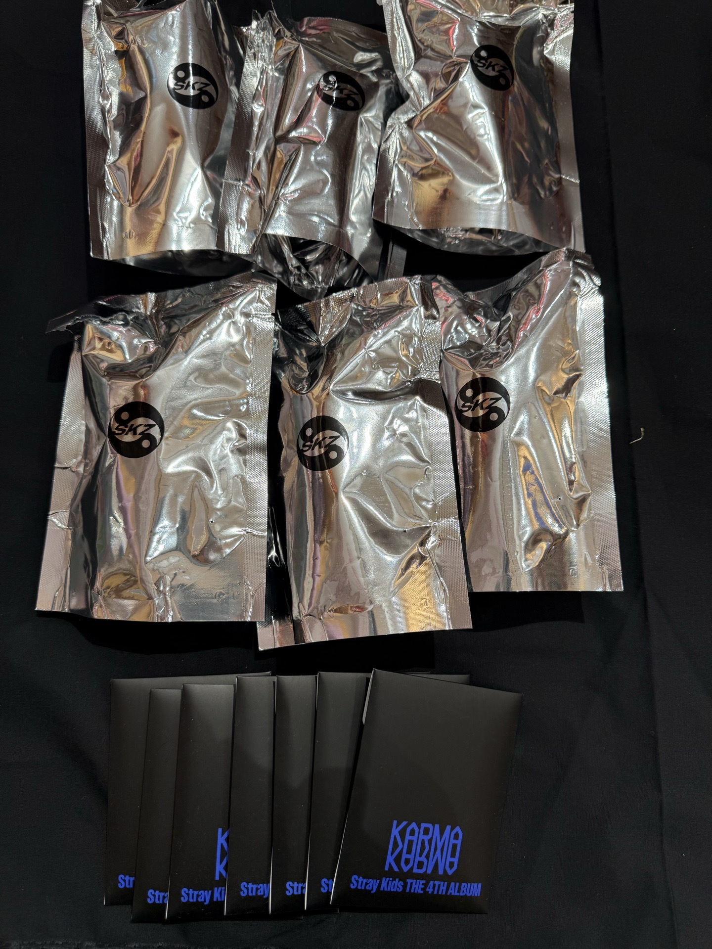 SKZOO 娃專 電子專