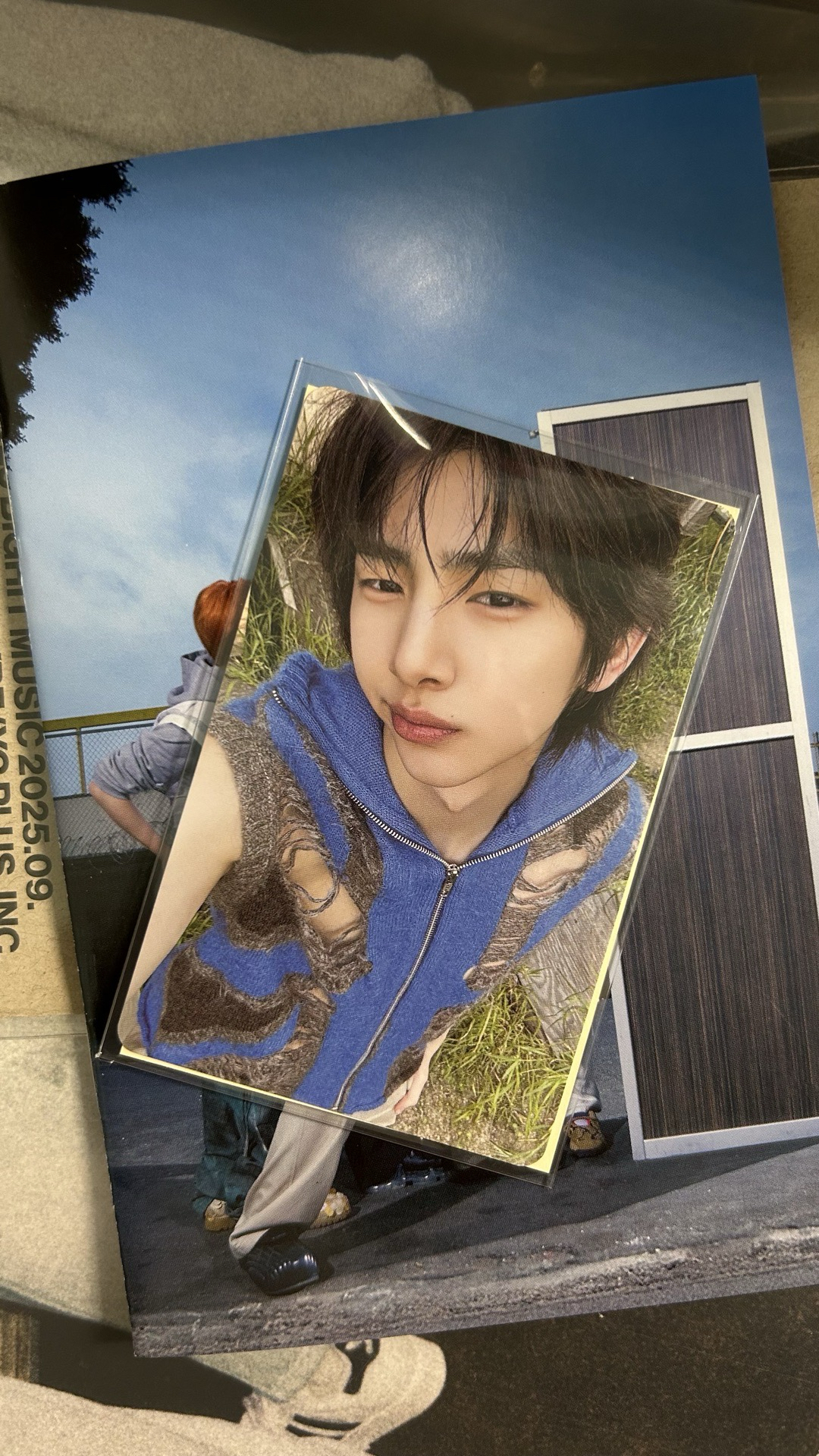 電子專A小卡 金主訓🐷