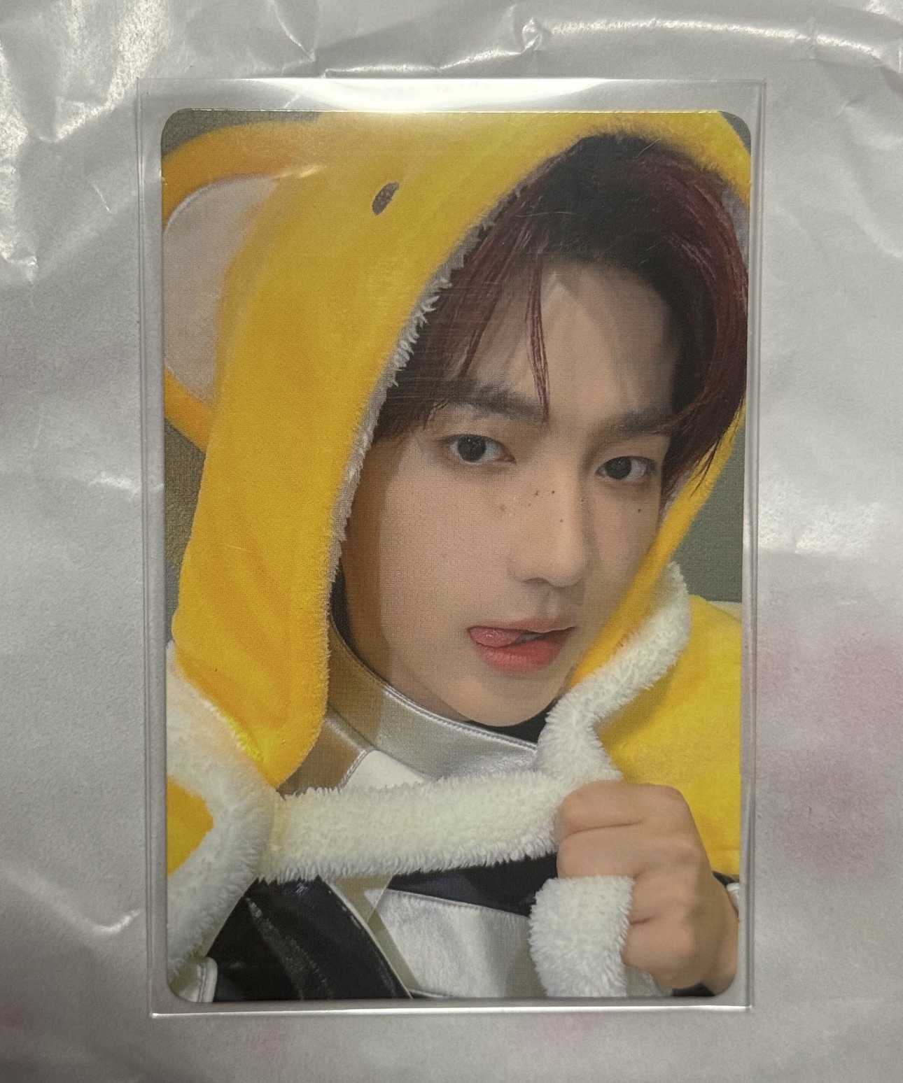 昊 吉隆坡 特典 小可