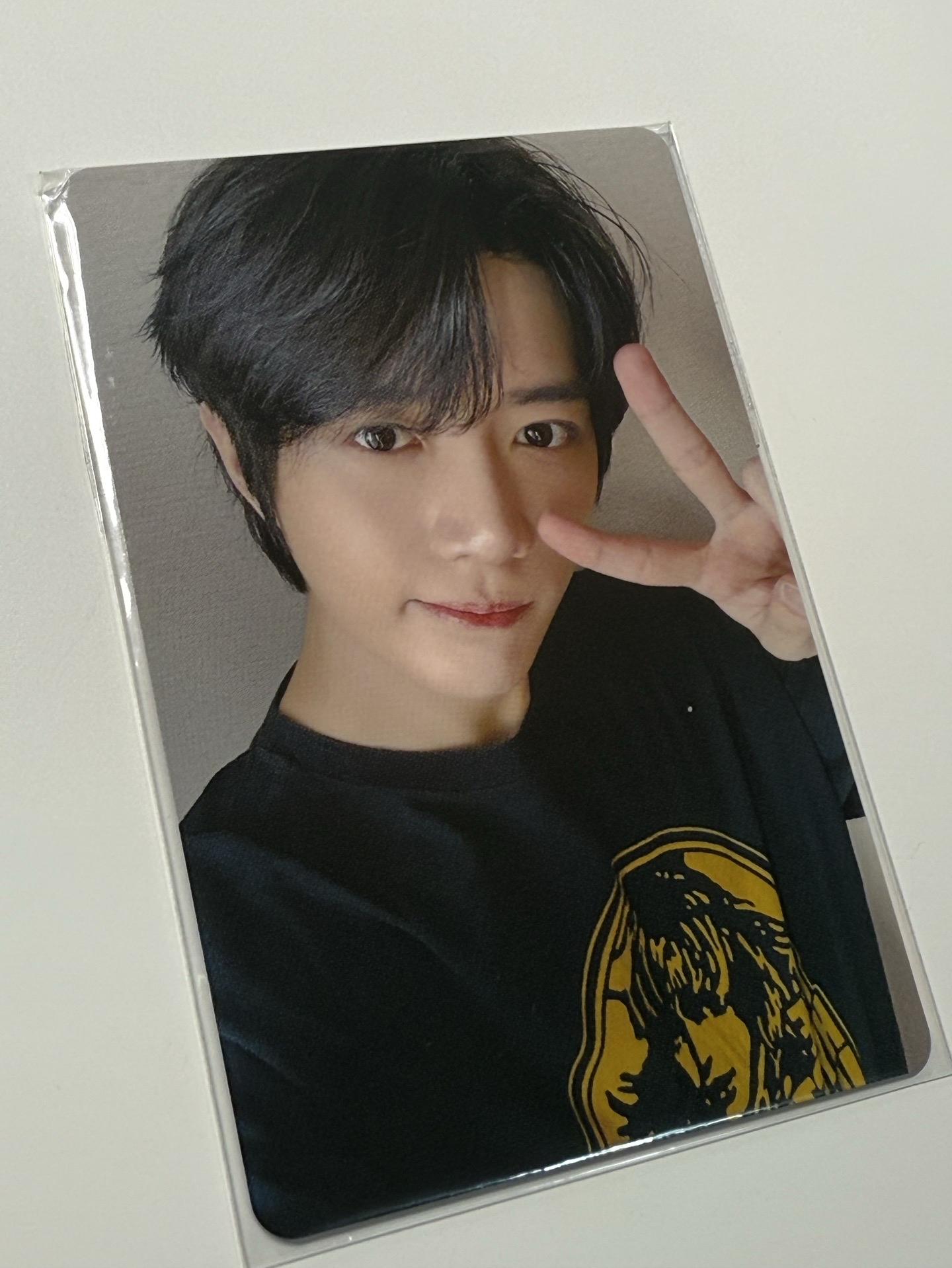 圭愛知場限 含對應專輯