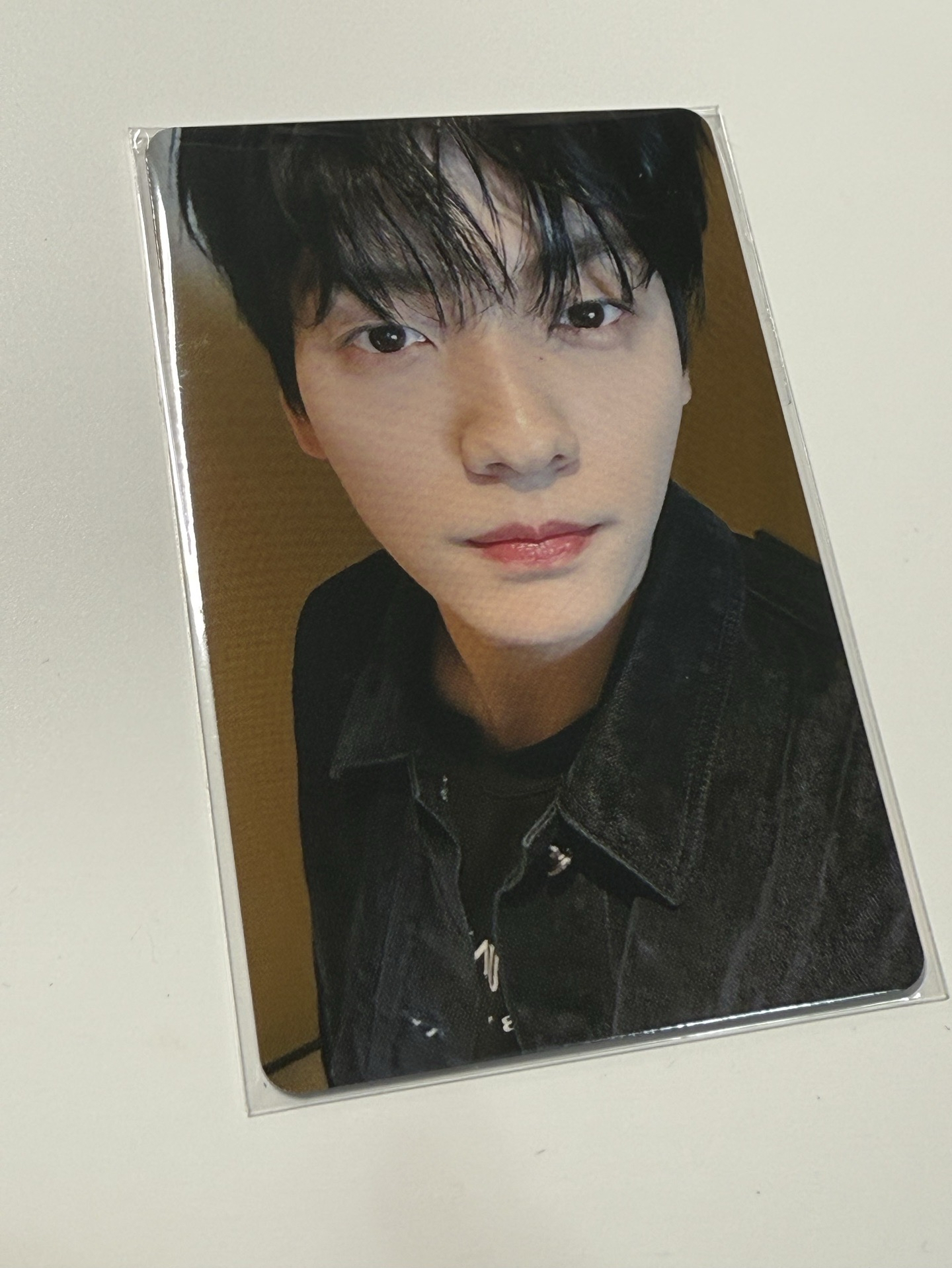 彬愛知場限 含對應專輯