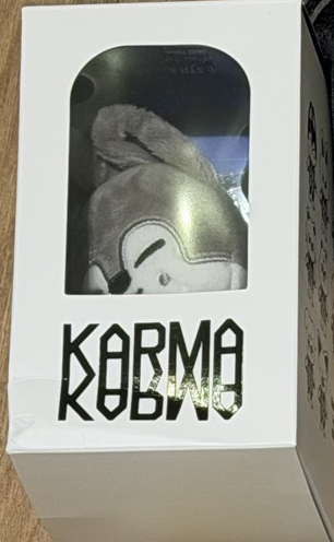 Karma 專輯小娃燦