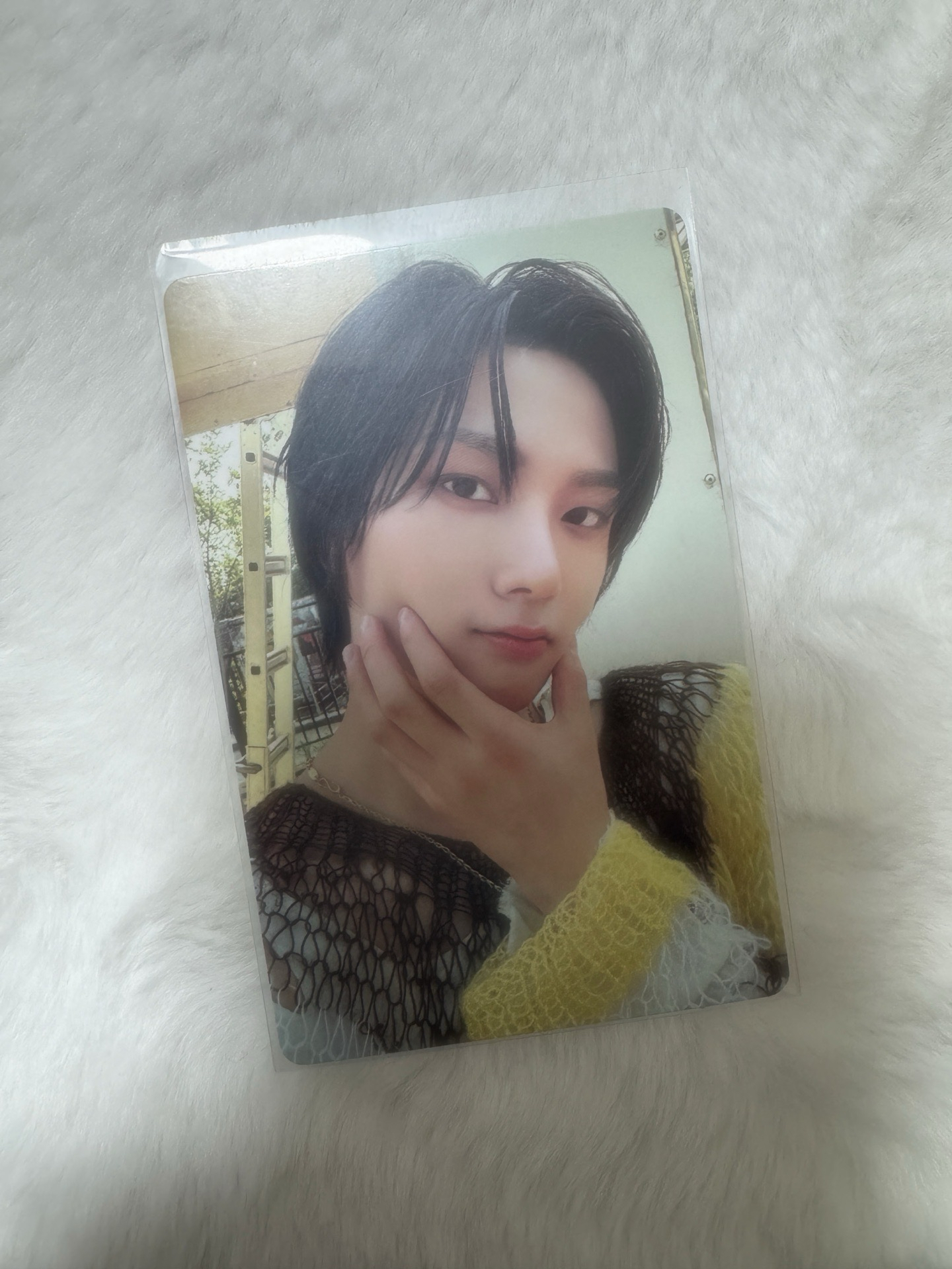 成淏 WHY.. 專輯卡 Dazed ver.🏠