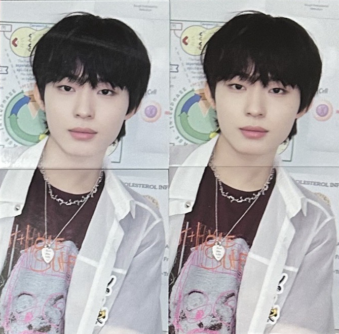 佳樹專輯內容物