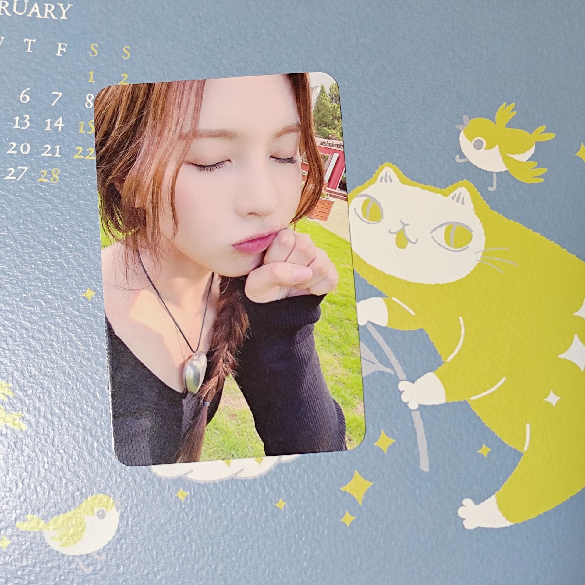 🐳仲夏夜MMT預售裴（可單出）