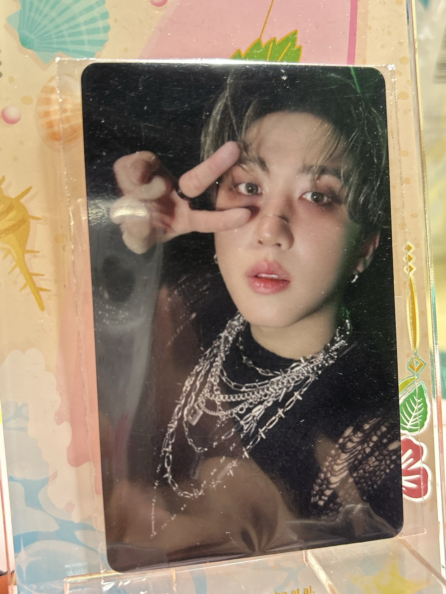 合 jyp 電子專 彰彬 特典