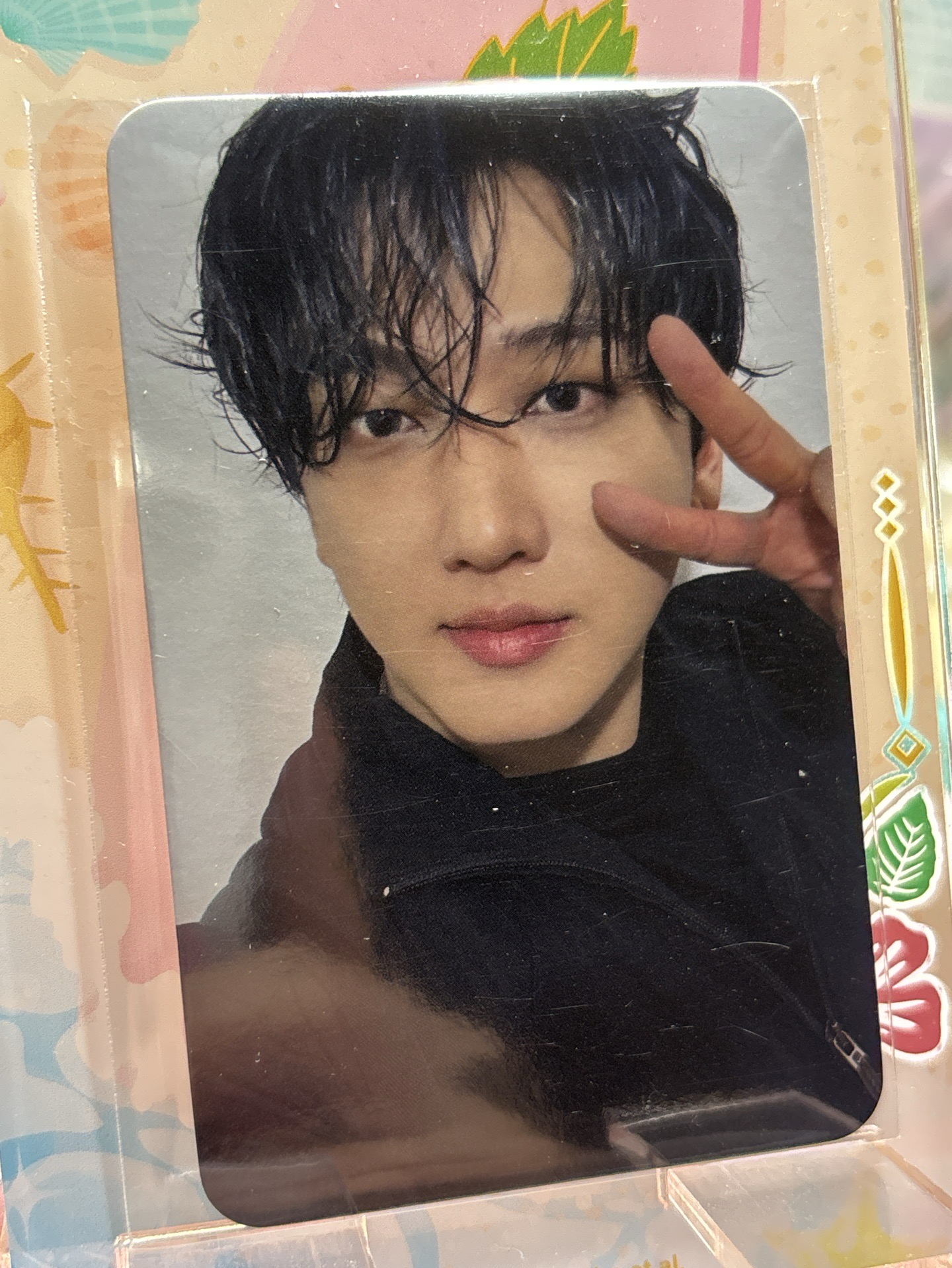 合 阿拉丁 彰彬 特典